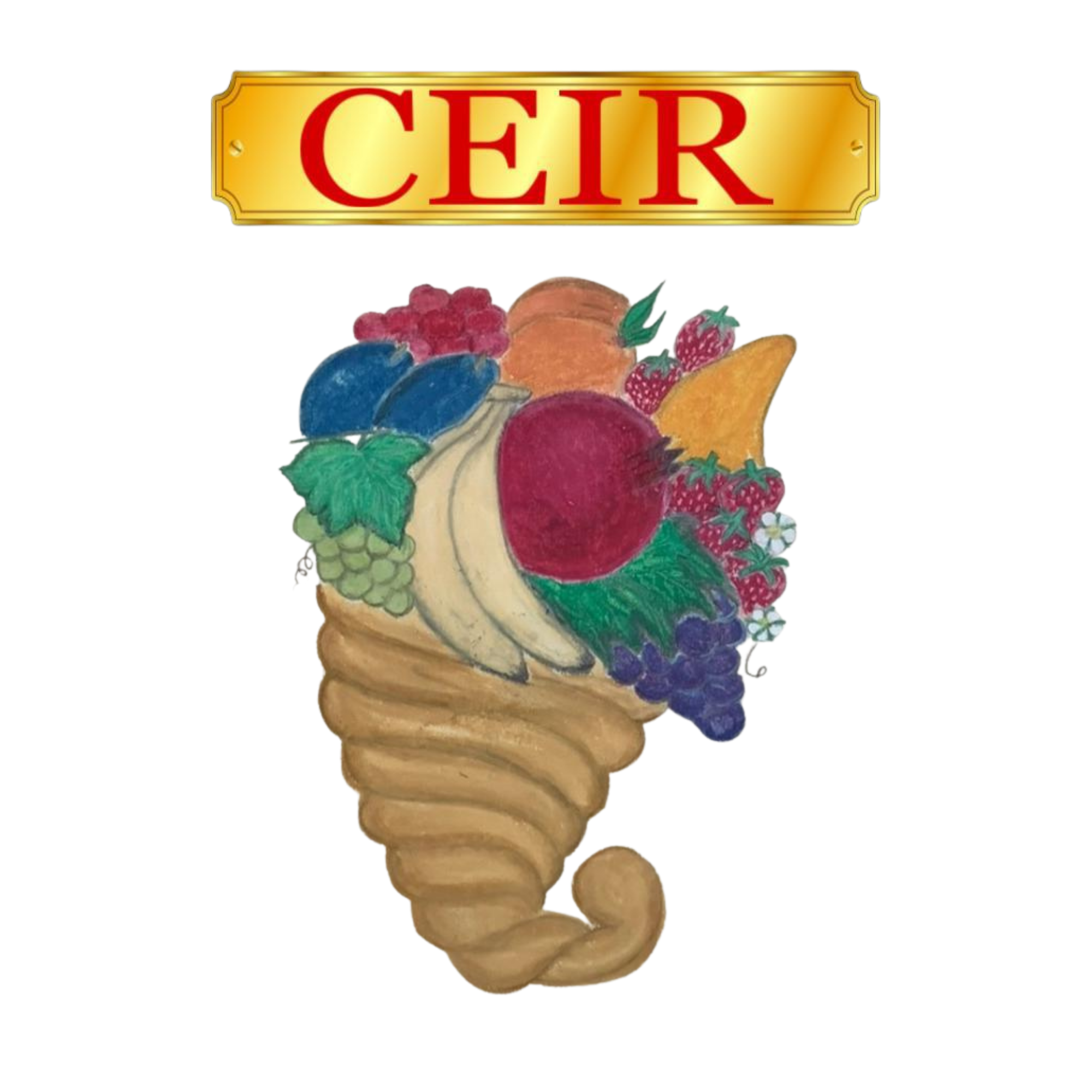 Centre for Education and Innovation Research (CEIR)